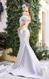 10 of 10 Terani 242M3356 Silver-Taupe