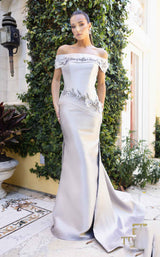 4 of 10 Terani 242M3356 Silver-Taupe