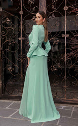 5 of 7 Terani 251M4572 Sage