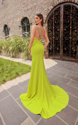 5 of 5 Terani 251P4036 Citrine