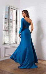 6 of 6 Terani 251P4056 Peacock