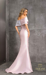 4 of 6 Terani 252M5324 Blush/Silver