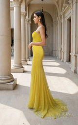 2 of 2 Terani 261P6187 Yellow