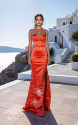 1 of 2 Terani 261P6638 Coral