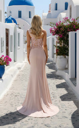 2 of 2 Terani 261E6163 Blush