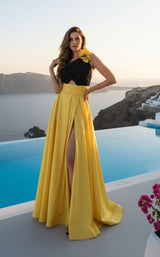 1 of 2 Terani 261E6709 Black/Yellow