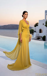 1 of 4 Terani 261m6403 Citrine