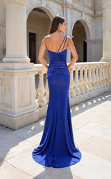 2 of 2 Terani 261P6029 Royal