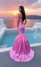 2 of 2 Terani 261P6077 Carnation