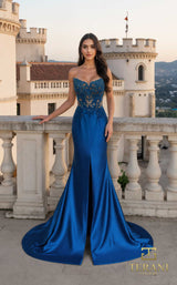 1 of 2 Terani 261P6109 Peacock