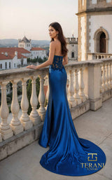 2 of 2 Terani 261P6109 Peacock