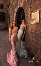 1 of 2 Terani 261P6128 Blush