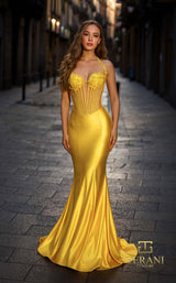 1 of 6 Terani 261P6137 Sun