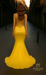 2 of 6 Terani 261P6137 Sun