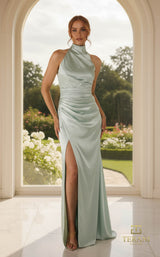 1 of 2 Terani 261P6152 Mint