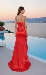 2 of 2 Terani 261P6155 Tomato