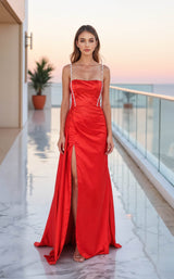 1 of 2 Terani 261P6155 Tomato