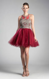 3 of 7 Cinderella Divine UJ0119 Burgundy/Gold