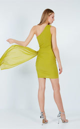 6 of 9 Gygess 5099 Oil-Green