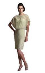 1 of 2 Ivonne D 113D13 Celery