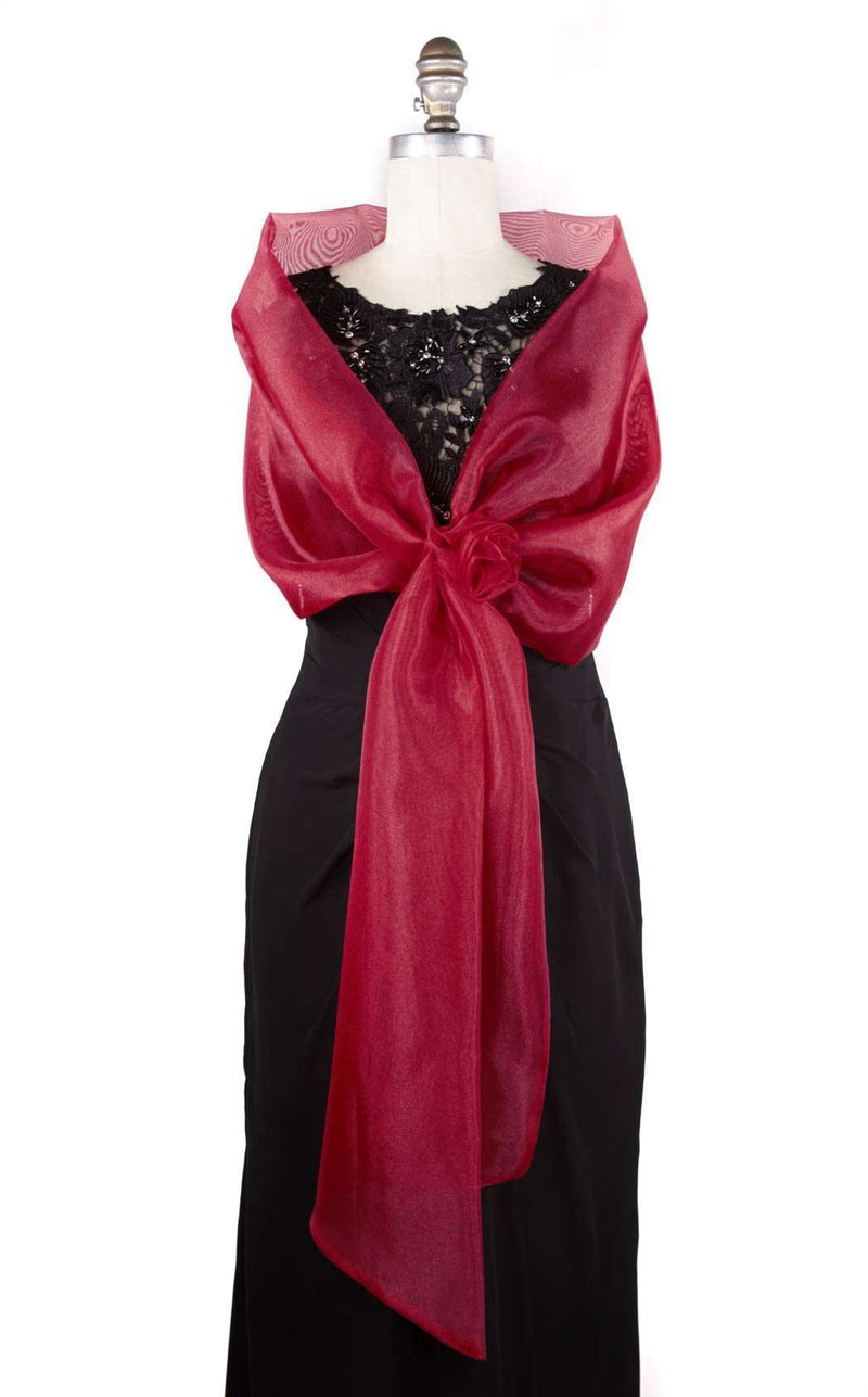 Ilana Wolfe 1406 Dress | TheDressWarehouse.com Everything On Sale, Always!