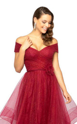 5 of 6 Terani 1911M9665