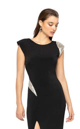 5 of 8 Terani 1911P8136