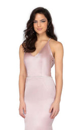 11 of 14 Terani 1911P8171 Blush