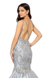 4 of 4 Terani 1911P8367