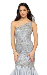 3 of 4 Terani 1911P8367