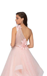 4 of 4 Terani 1911P8479