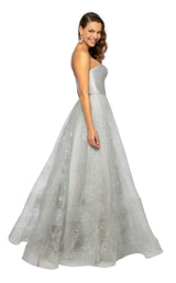 2 of 4 Terani 1911P8487