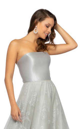 3 of 4 Terani 1911P8487