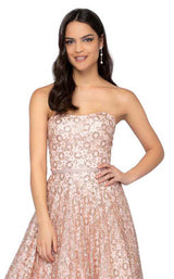 3 of 4 Terani 1911P8492