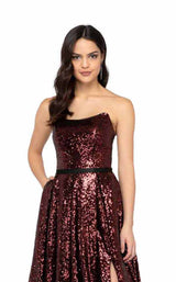 4 of 6 Terani 1911P8541