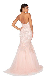 3 of 8 Terani 1911P8636