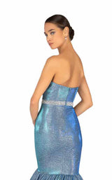 10 of 10 Terani 1911P8647