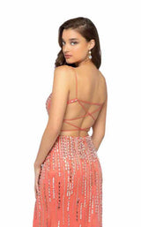 13 of 14 Terani 1912P8232 Coral