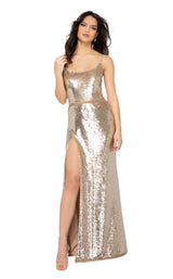 1 of 4 Terani 1912P8276 Gold-Champagne