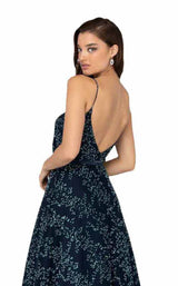 4 of 4 Terani 1912P8564