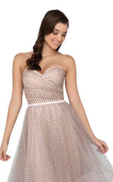 3 of 4 Terani 1912P8578