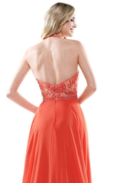 Colors Dress 2414 Dress Orange