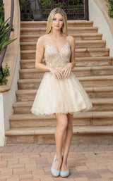 2 of 6 Dancing Queen 3315 Dress Champagne