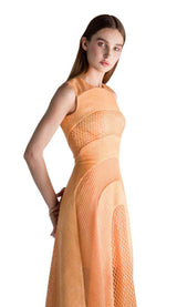 2 of 4 Saiid Kobeisy 3444