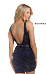 Primavera Couture 3804 Midnight