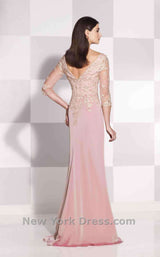 2 of 2 Cameron Blake 115619 English Rose