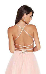 4 of 4 Alyce 60385 Rosewater