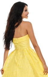 12 of 12 Rachel Allan 7013 Dress Yellow