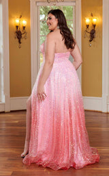 4 of 6 Rachel Allan 70292W Coral Ombre