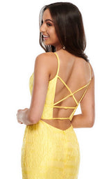 12 of 12 Rachel Allan 7068 Dress Yellow